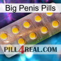 Big Penis Pills new11